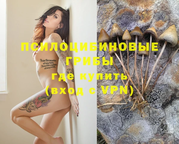 a pvp Абинск
