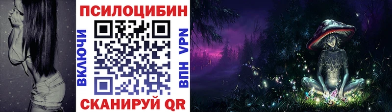 где купить наркотик Лиски Псилоцибиновые грибы мухоморы